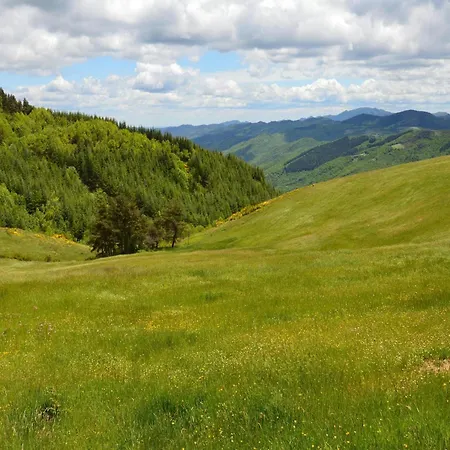 In With Swimming Pool Ferienhaus