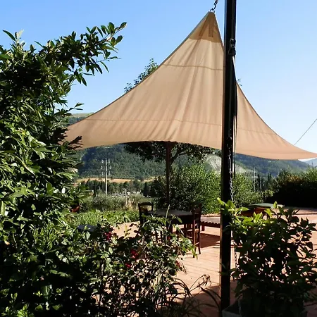 In With Swimming Pool