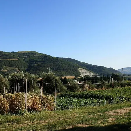 In With Swimming Pool Modigliana