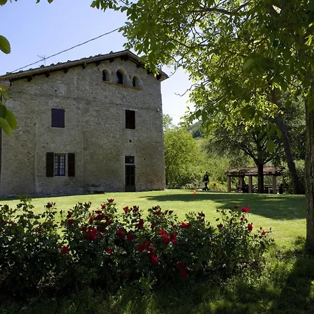 In With Swimming Pool Ferienhaus *