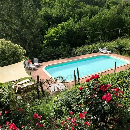 In With Swimming Pool