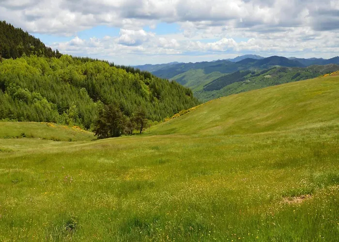 In With Swimming Pool Dom wakacyjny