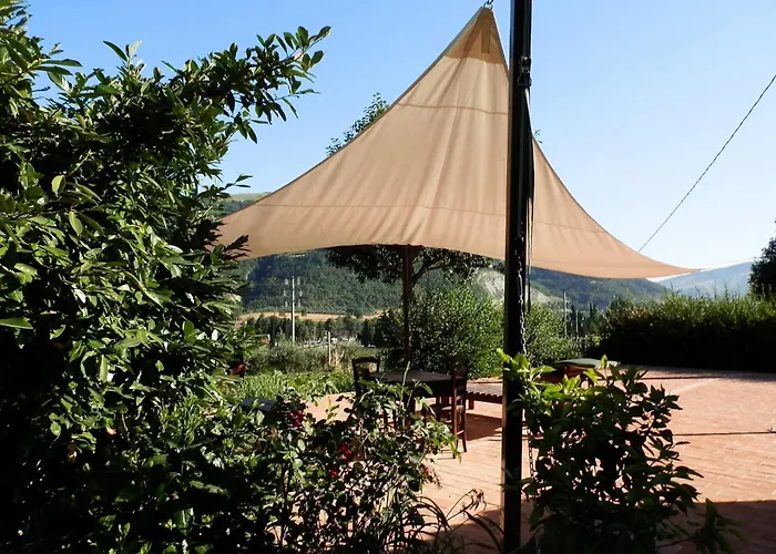 In With Swimming Pool