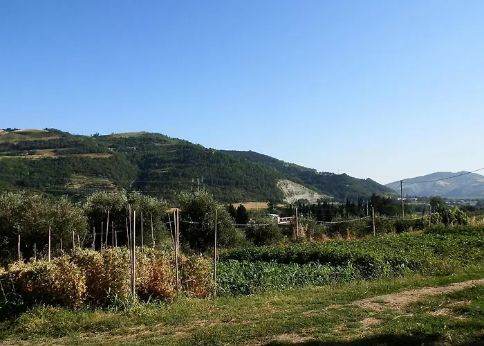 In With Swimming Pool Modigliana