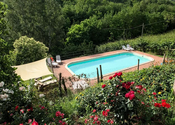 In With Swimming Pool