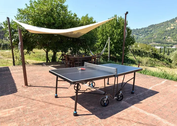 In With Swimming Pool * Modigliana